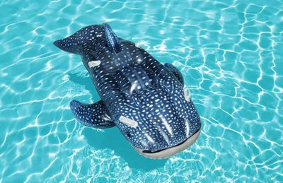 Bestway WHALETASTIC WONDERS RIDE-ON 6'4" X 48"